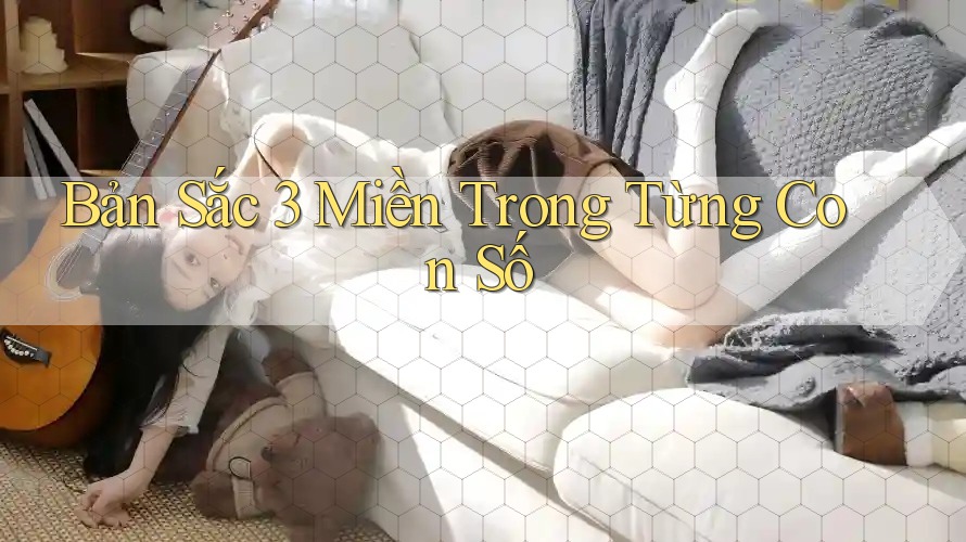 Bản Sắc 3 Miền Trong Từng Con Số