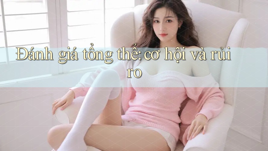Đánh giá tổng thể: cơ hội và rủi ro Đánh giá tổng thể: cơ hội và rủi ro