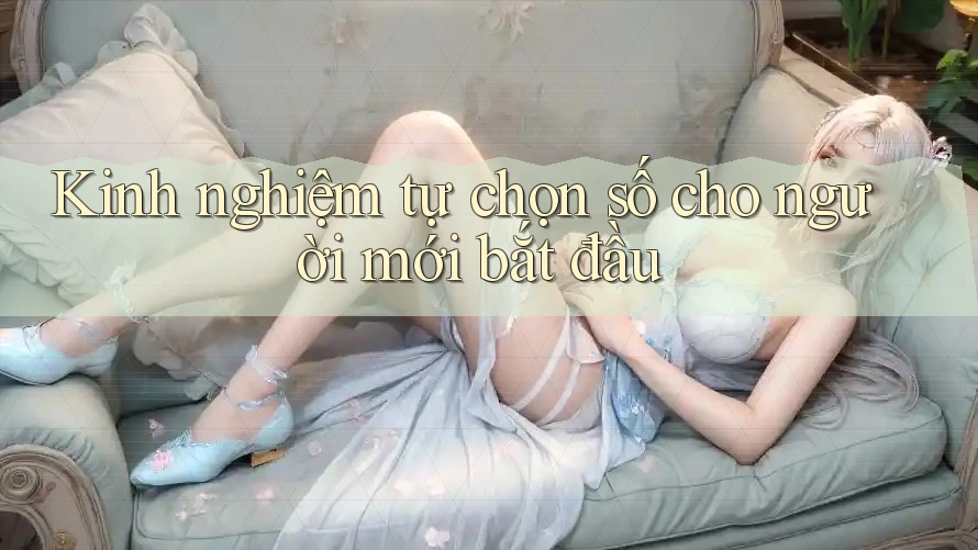 Kinh nghiệm tự chọn số cho người mới bắt đầu Kinh nghiệm tự chọn số cho người mới bắt đầu