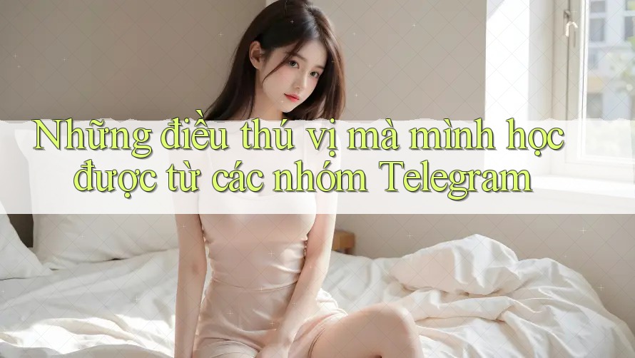 Những điều thú vị mà mình học được từ các nhóm Telegram Những điều thú vị mà mình học được từ các nhóm Telegram