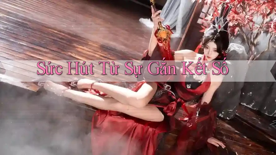 Sức Hút Từ Sự Gắn Kết Số Sức Hút Từ Sự Gắn Kết Số