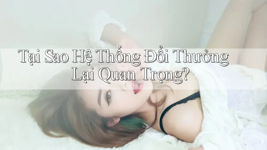 Tại Sao Hệ Thống Đổi Thưởng Lại Quan Trọng? Tại Sao Hệ Thống Đổi Thưởng Lại Quan Trọng?