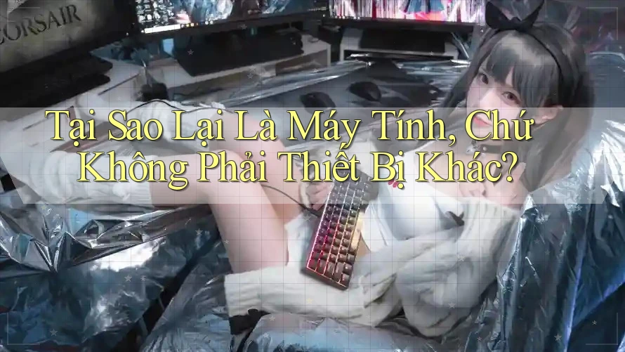 Tại Sao Lại Là Máy Tính, Chứ Không Phải Thiết Bị Khác? Tại Sao Lại Là Máy Tính, Chứ Không Phải Thiết Bị Khác?