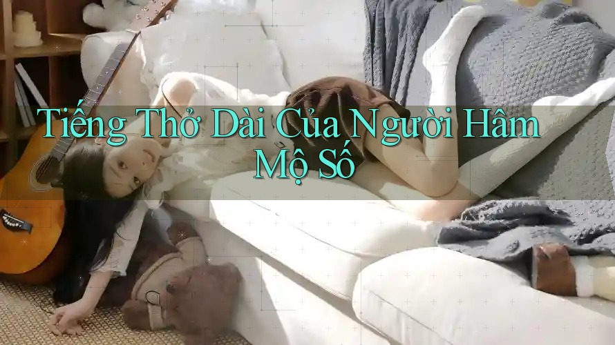 Tiếng Thở Dài Của Người Hâm Mộ Số Tiếng Thở Dài Của Người Hâm Mộ Số