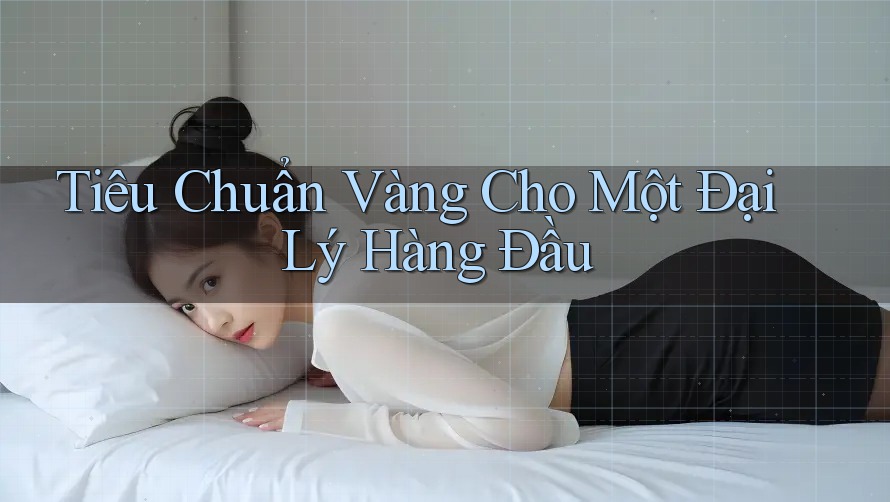 Tiêu Chuẩn Vàng Cho Một Đại Lý Hàng Đầu Tiêu Chuẩn Vàng Cho Một Đại Lý Hàng Đầu